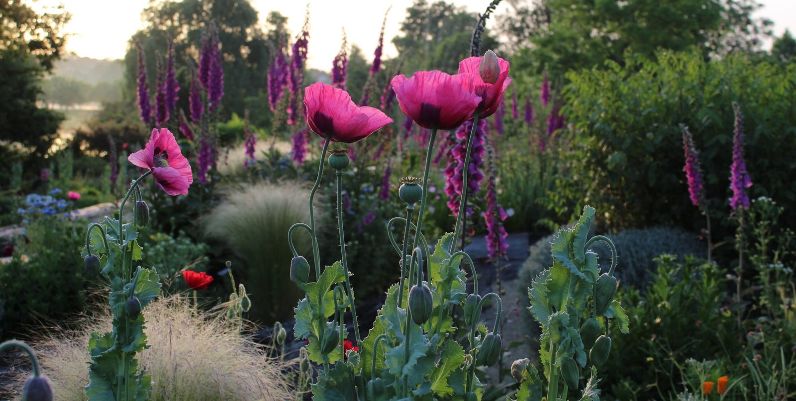 Les Jardins de Coursiana